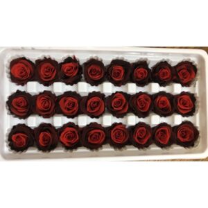 永生花花材，2-3公分雙色玫瑰，漸變色 ，單朵價