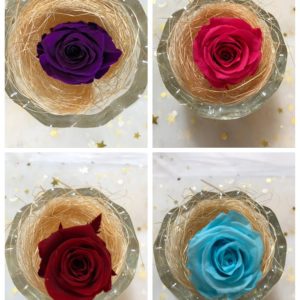 永生花花材，精品2-3玫瑰，新色上架，單朵價格