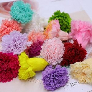 永生花花材，母親節康乃馨3-4CM，單朵價格，多色可選