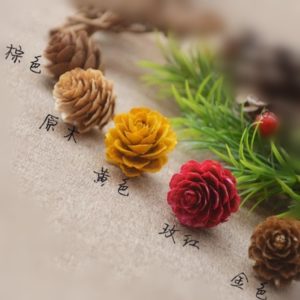 天然乾果，彩色落葉松，尺寸約2.5-4cm (一份2個)