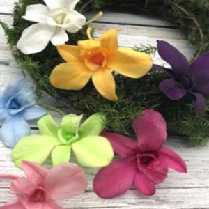 日本進口永生花花材，大地農園永生蘭花，單朵價