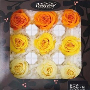 日本進口永生花花材，大地農園混色玫瑰盒裝，3.5-4公分，一盒9朵