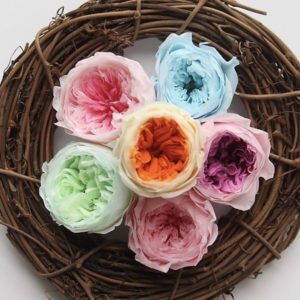 永生花花材，A級奥斯汀玫瑰4-5公分，單朵價格