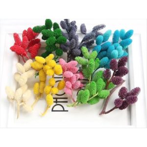 永生花花材，桑椹果，每份5克