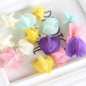 花永生花材，彩色燈籠果，每份3顆裝