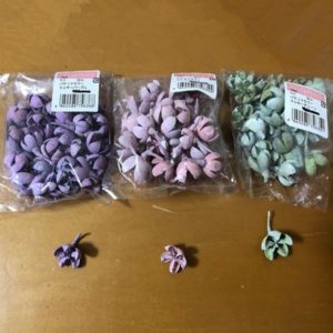 日本進口永生花花材，大地農園TOKA彩色開心果，單顆價