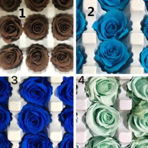 永生花花材，玫瑰2-3公分，全新新色，單朵價