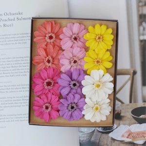 永生花DIY日本進口大地農園野趣百日菊，尺寸4cm，單朵價格