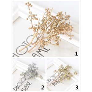 永生花花材，八角果小米果，三克價格