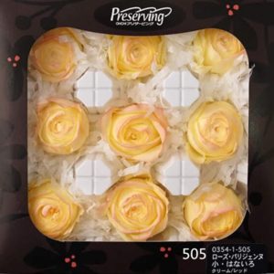 日本進口永生花花材，大地巴黎少女奧斯汀，3-4公分，單朵價