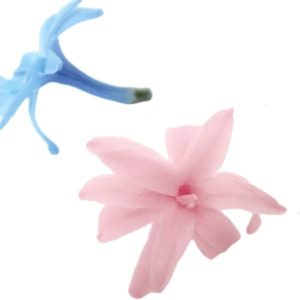 永生花花材，日本進口，永生晚香玉，單朵價格