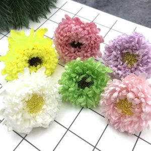 日本進口大地農園紫菀菊波斯菊永生花，DIY插花玻璃罩花材配材04760，3-4公分，單朵價