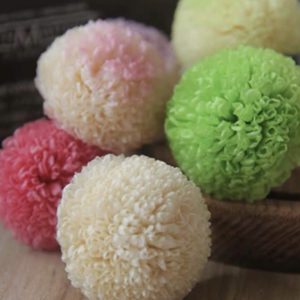 日本大地農園乒乓菊，尺寸約3-4公分 (單朵)