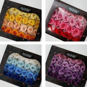 日本進口永生花花材，大地農園玫瑰，混色盒裝24朵