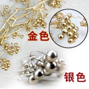 日本大地農園，金銀小藤果，刺藤果，一份5-6個果實