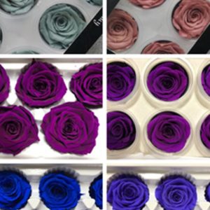 A賣場永生花花材，5-6公分玫瑰，新色上架，單朵價