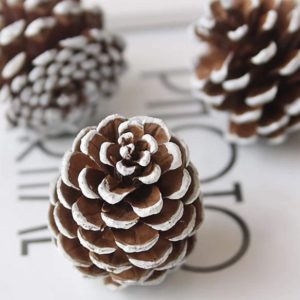 永生花車掛花環製作配材，天然刷白松果聖誕節裝飾品，拍攝道具擺件，單個價格