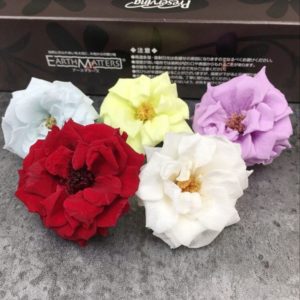法國瑪麗安薔薇花永生花，日本大地品牌，直徑3.5公分，單朵價