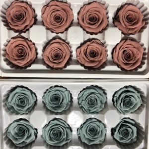 A賣場永生花花材 ，4-5公分玫瑰，新色上架 ，單朵價