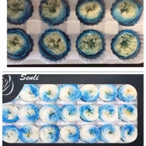 永生花玫瑰，奧斯丁2-3/4-5藍白雙色，單朵價格