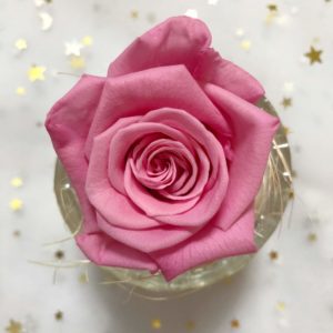 新粉色4-5/5-6公分永生花玫瑰，單朵價格