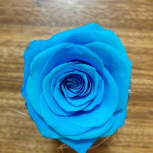 不凋花玫瑰，永生花3-4和4-5公分，天藍&海藍色，單朵價格
