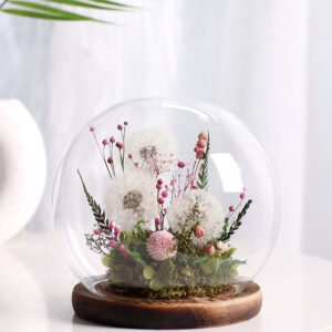 天然蒲公英，特殊處理，已架好鐵絲，3-5公分單朵價格